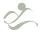 Summit Research Associates NYC
